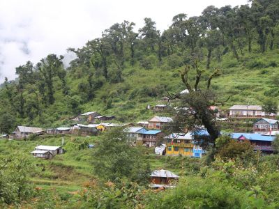 Scaling Up Mountain EbA in Nepal