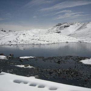 Pastoruri