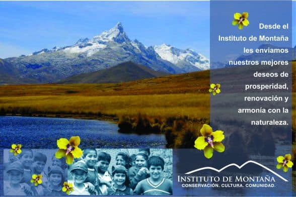 Tarjeta_IM_2011