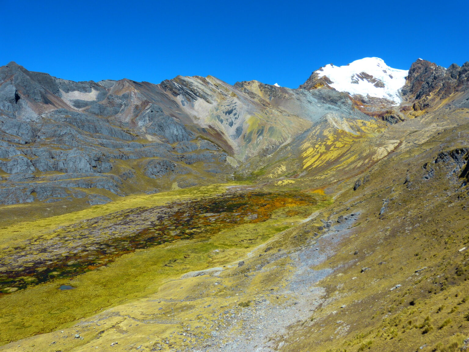 A medida que los glaciares retroceden, es mas importante que nunca proteger los bofedales como los que se ven en esta foto de la Cordillera Blanca de Perú. © A. Zimmer/TMI