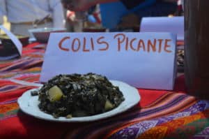 La seguridad alimentaria en la sierra de Ancash se basa en la mixtura de variedades de productos con alto contenido proteico como las verduras y los cereales.