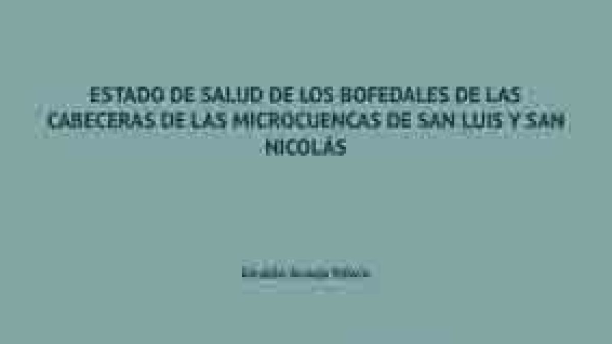 12.-Estado-de-Salud-de-los-Bofedales-Edwin-Giraldo