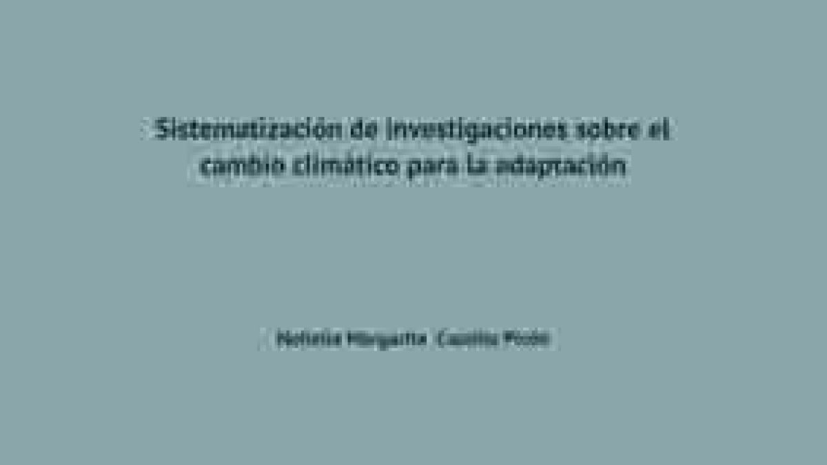 8.-Sistematizacion-de-Investigaciones-sobre-CC-NOHELIA-CASTILLO