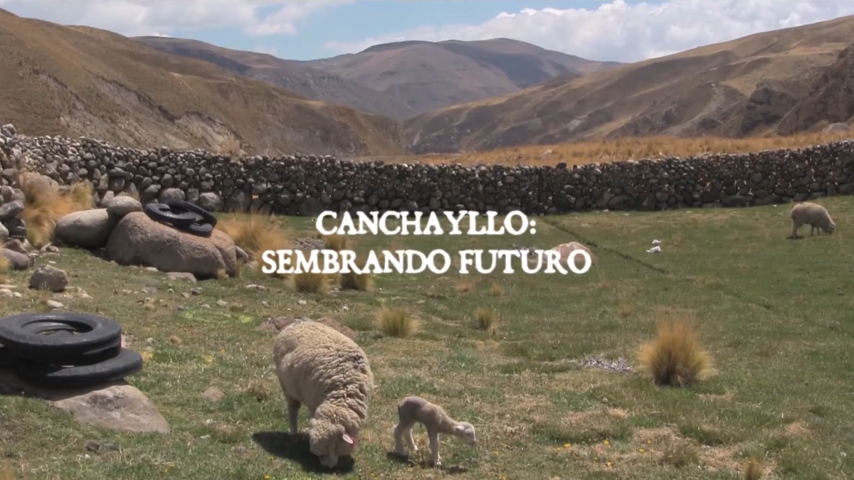 Captura de pantalla 2026-09-15 095756