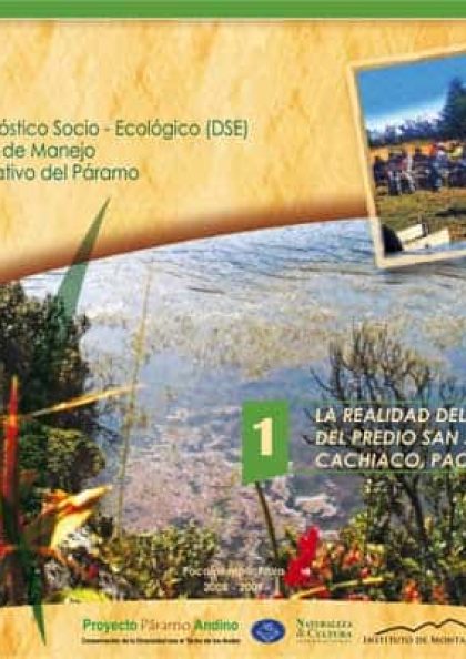 DSE-Pacaipampa