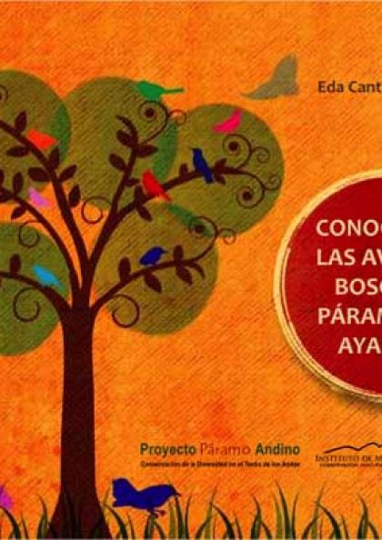 conociendo-las-aves-del-bosque-y-paramos-de-ayabaca