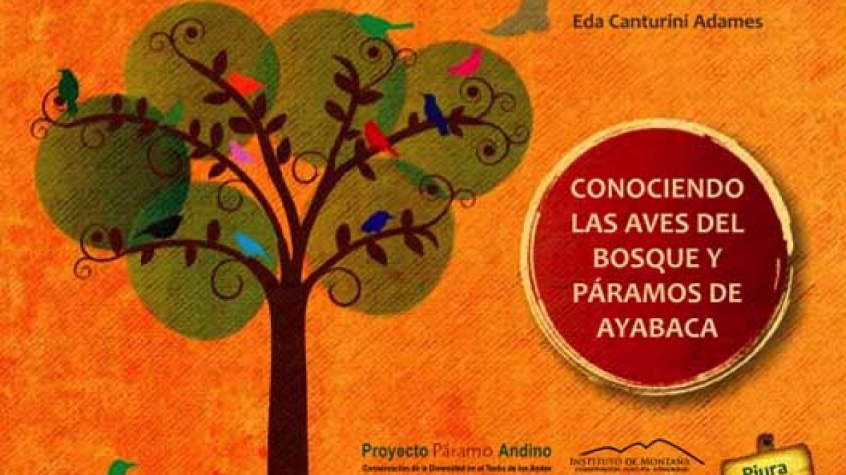 conociendo-las-aves-del-bosque-y-paramos-de-ayabaca