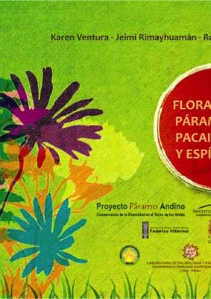 flora-de-los-paramos-de-pacaipampa-y-espindola
